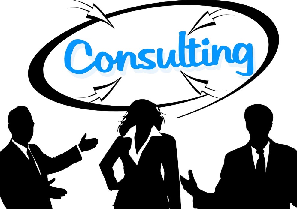 Consultant 2