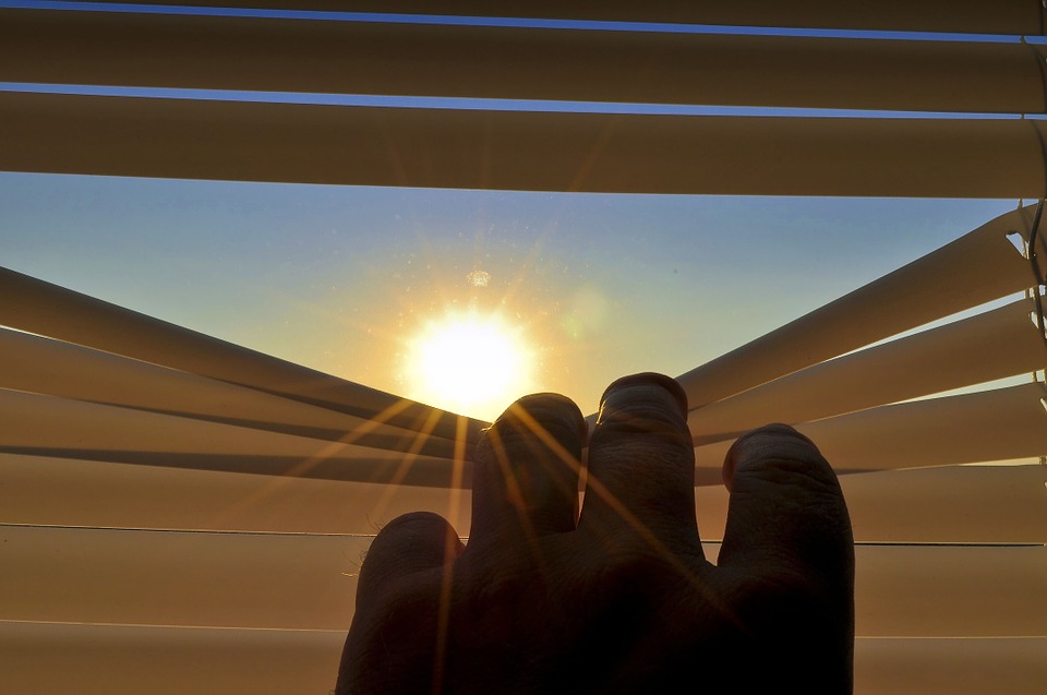 window blind
