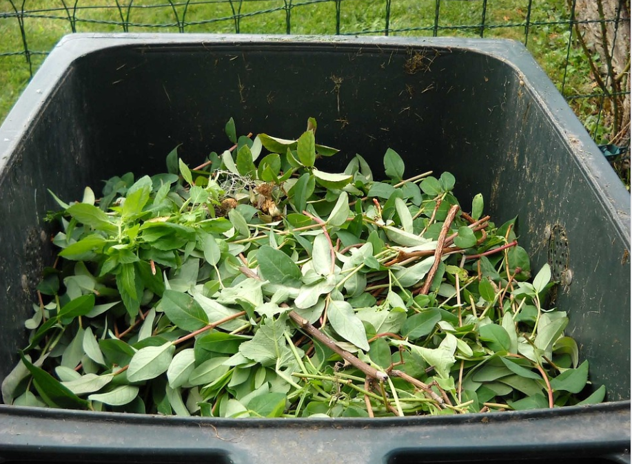 composting in a container