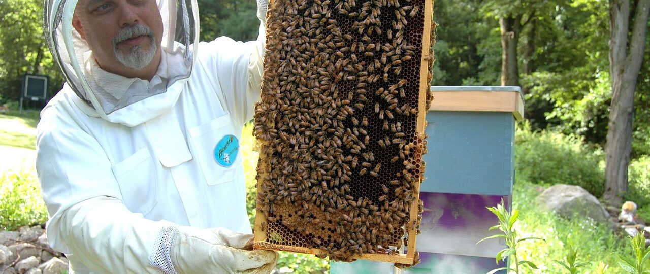 beekeeper