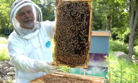 beekeeper